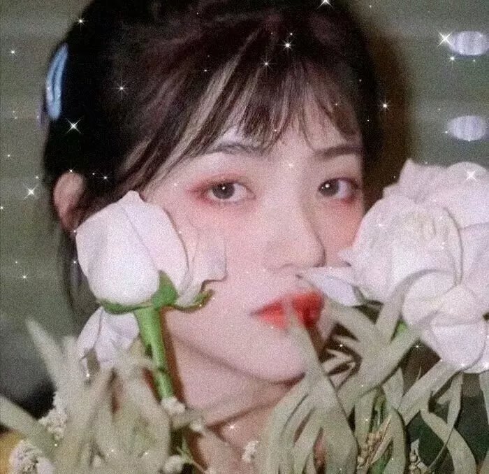 爱莲妹妹