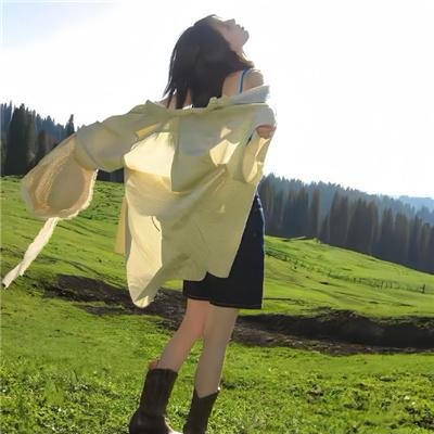 中央公园第二季